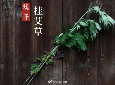 微信图片_20220612152220.jpg