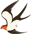 29.png