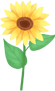22.png