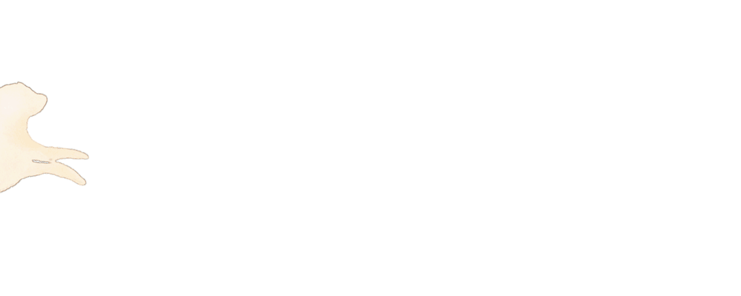 5.gif
