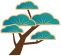 25.png