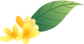 8.png
