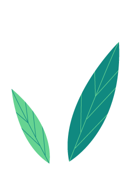 14.png