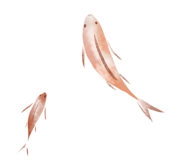 14.png