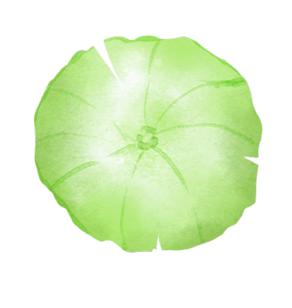 20.png